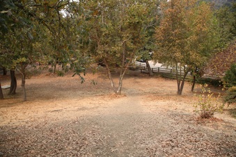 Enlarge photo 41