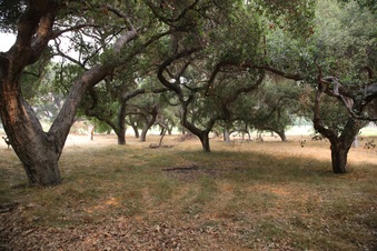 Enlarge photo 11