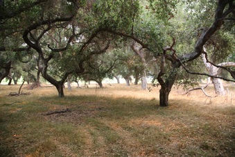 Enlarge photo 16