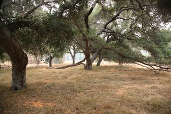 Enlarge photo 21