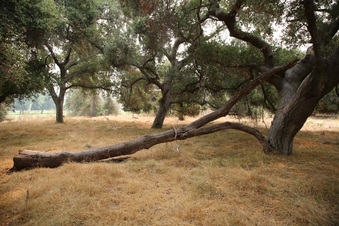 Enlarge photo 25