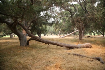 Enlarge photo 26