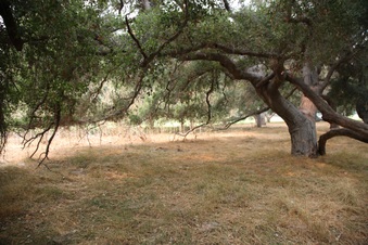 Enlarge photo 27