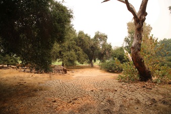 Enlarge photo 28