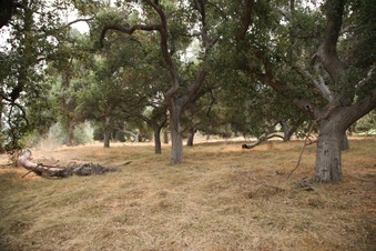 Enlarge photo 29