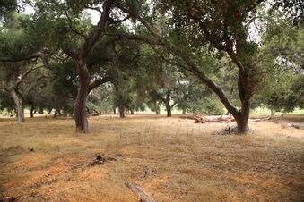 Enlarge photo 30