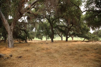 Enlarge photo 32