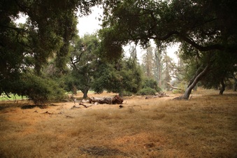 Enlarge photo 33