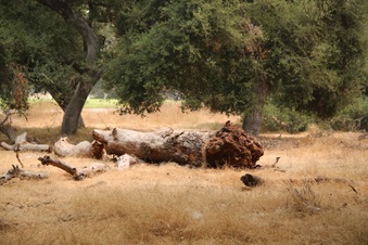 Enlarge photo 34