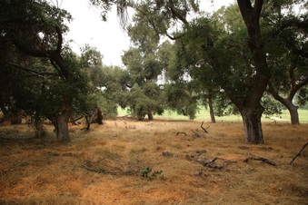 Enlarge photo 35