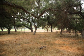Enlarge photo 36