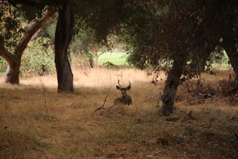 Enlarge photo 37