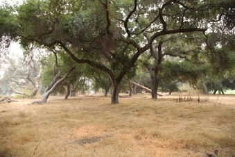 Enlarge photo 38