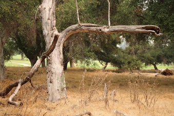 Enlarge photo 40