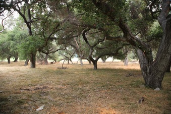 Enlarge photo 41
