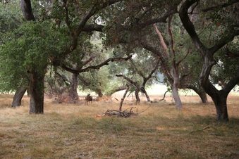 Enlarge photo 42