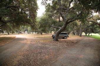 Enlarge photo 43