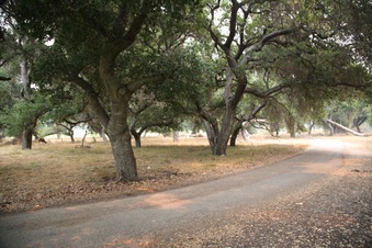 Enlarge photo 44