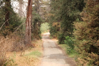 Enlarge photo 5