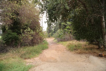 Enlarge photo 7
