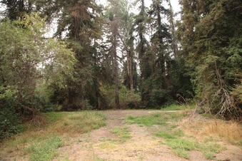 Enlarge photo 10