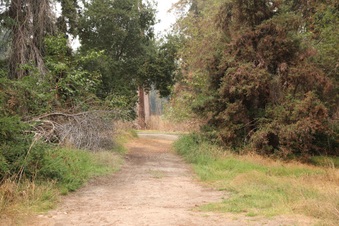 Enlarge photo 11