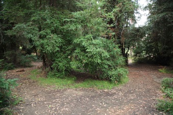 Enlarge photo 17