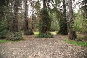 Enlarge photo 18
