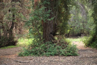 Enlarge photo 19