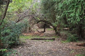 Enlarge photo 20
