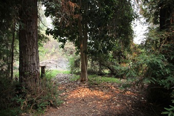 Enlarge photo 21