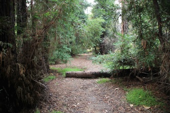 Enlarge photo 22