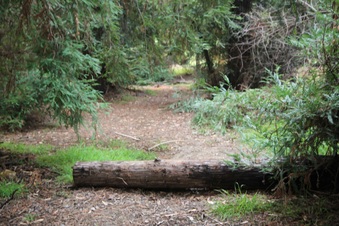 Enlarge photo 23