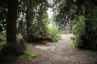 Enlarge photo 24
