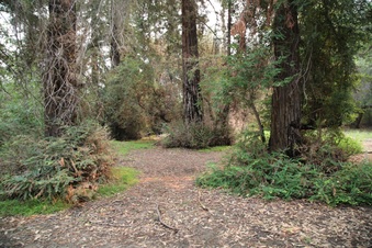 Enlarge photo 25