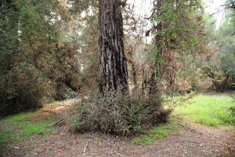 Enlarge photo 26