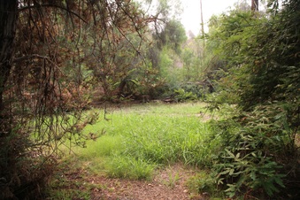 Enlarge photo 27