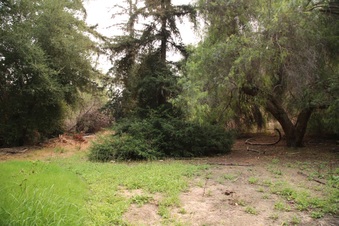 Enlarge photo 28