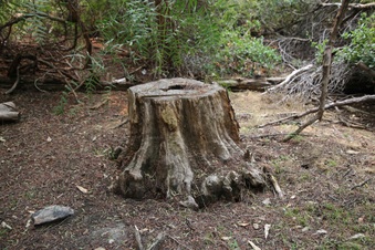 Enlarge photo 31
