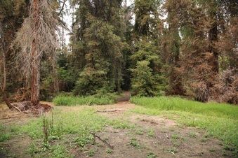 Enlarge photo 32