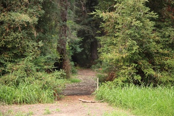 Enlarge photo 33