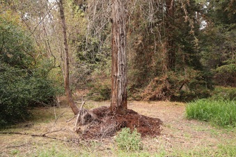 Enlarge photo 34