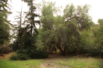 Enlarge photo 35