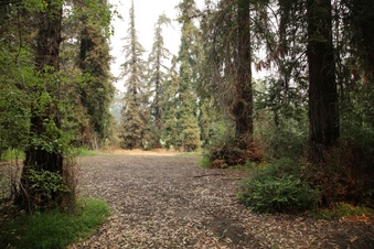 Enlarge photo 36
