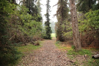 Enlarge photo 37