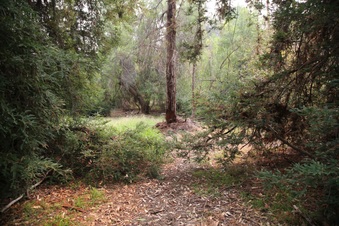 Enlarge photo 38