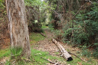 Enlarge photo 39