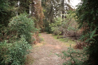 Enlarge photo 41