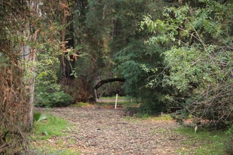 Enlarge photo 42
