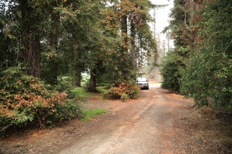 Enlarge photo 43